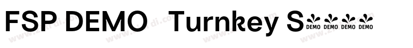 FSP DEMO   Turnkey S字体转换
